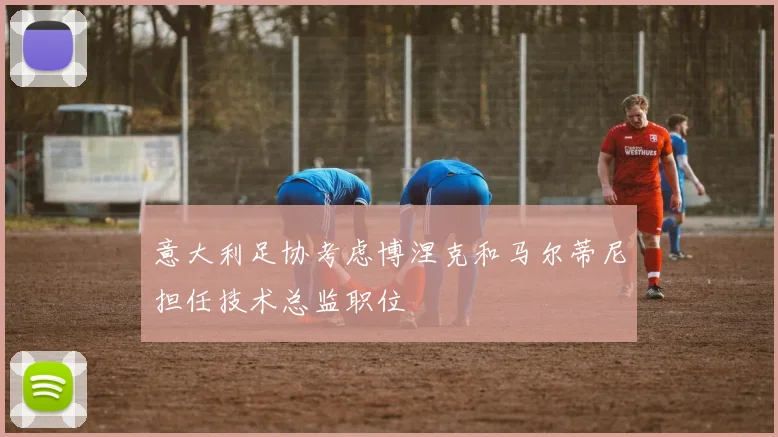 意大利足协考虑博涅克和马尔蒂尼担任技术总监职位